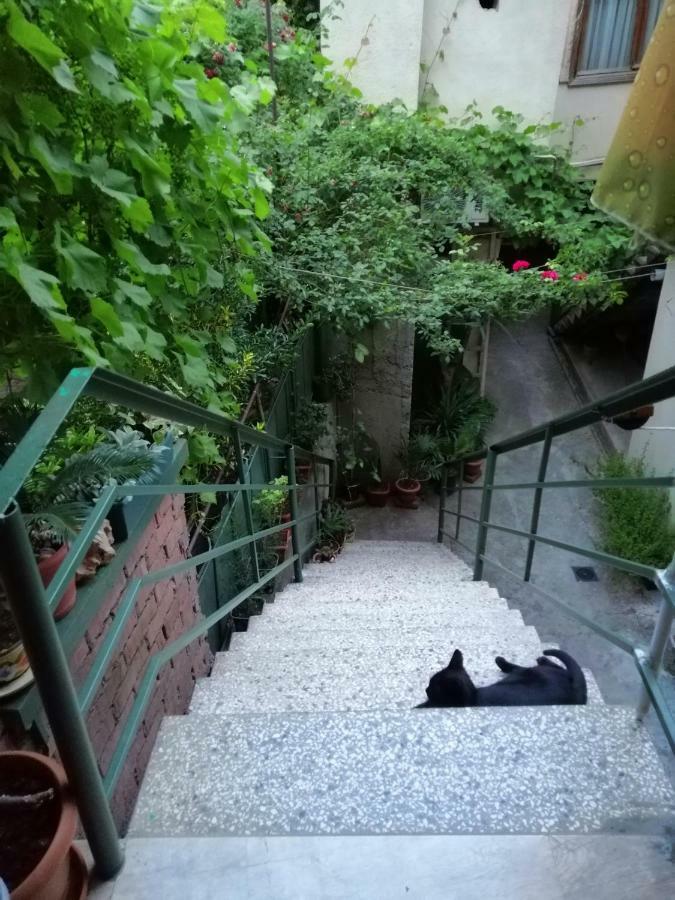 Guesthouse Different Tiflis Exterior foto